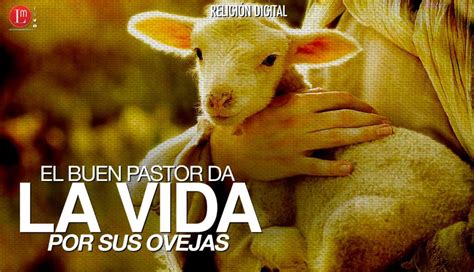 EL BUEN PASTOR DA LA VIDA POR SUS OVEJAS » Latitud Megalópolis