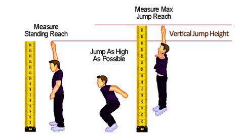 How to Measure Vertical Jump with Or without Equipment(2022)