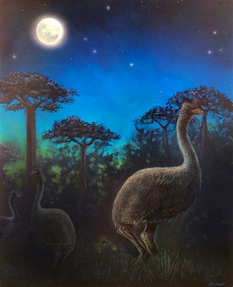 Giant Flightless Birds Were Nocturnal and Possibly Blind | Jackson School of Geosciences | The ...