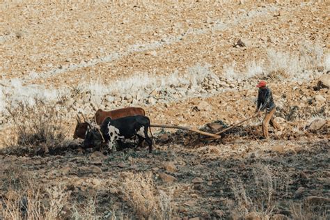 Devastating Famine in Ethiopia!