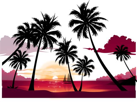 Coconut Tree Vector PNG - PNG All | PNG All