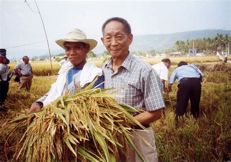 “Father of Hybrid Rice” Yuan Longping’s Legacy: An agricultural ...