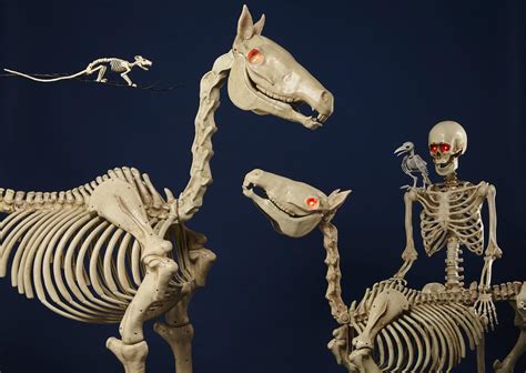 No Bones About It: Animal Skeletons are Hot for Halloween - WSJ