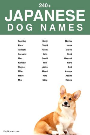 150+ Japanese Dog Names For Girls (+ Meanings) | PupNames.com™