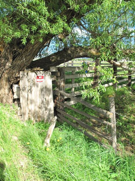 Vacant House with Rundown Yard Stock Photo - Image of yard, wooden: 260977066