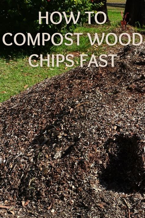 How To Compost Wood Chips Fast