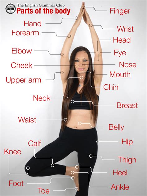 a woman doing yoga poses with the words parts of the body in front of her