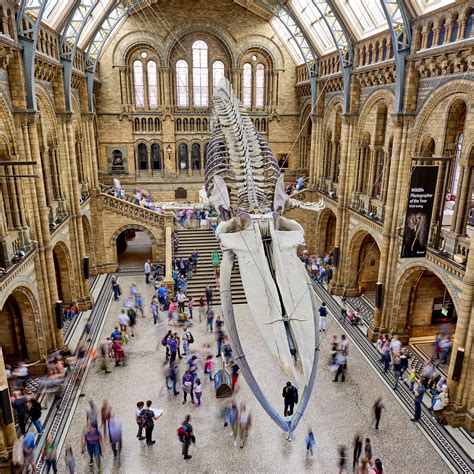 Fantastic beasts of Harry Potter exhibited at London's Natural History Museum