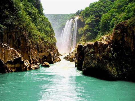 Tanchachin, San Luis Potosi in Mexico! I would go back in a heartbeat! It takes like 30-45 mins ...