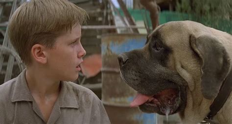 The Sandlot Dog: Hercules a.k.a 'The Beast' Was Really a Sweetheart