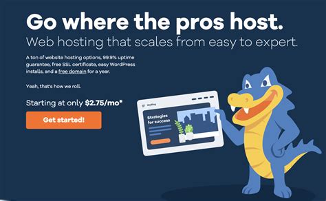 HostGator Dedicated Servers – Best Scheme