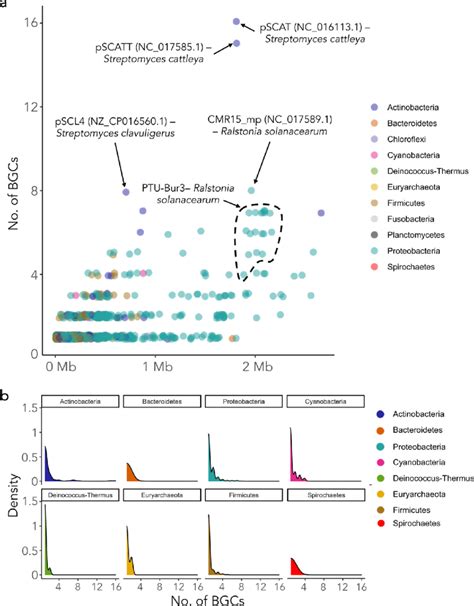 Density of BGCs within plasmids from diverse host cell taxa. (a ...