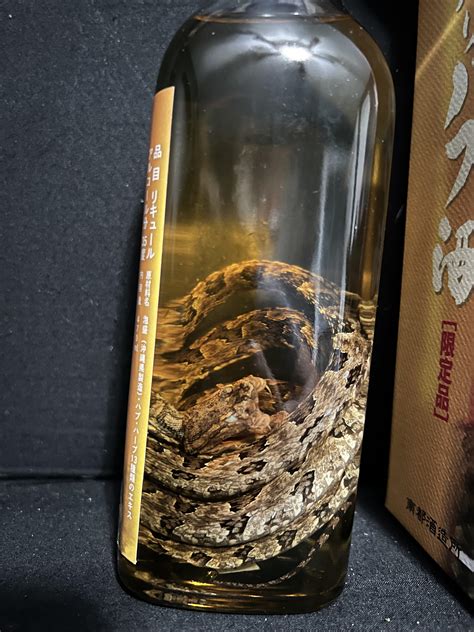 Japanese Sake With Snake