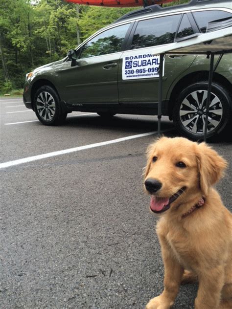 Community Involvement | Boardman Subaru