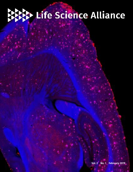 Opposing Roles of apolipoprotein E in aging and neurodegeneration | Life Science Alliance