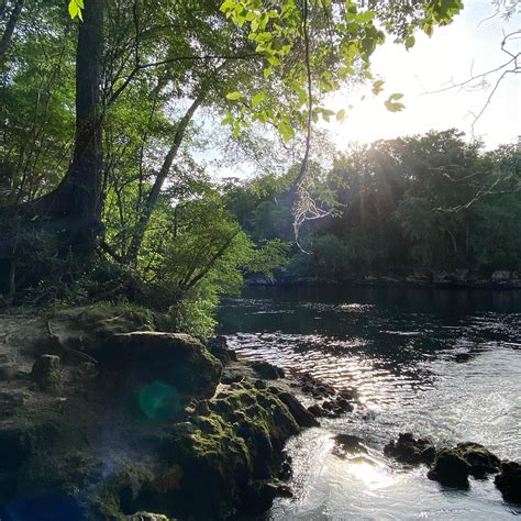 Suwannee River State Park | The Dyrt