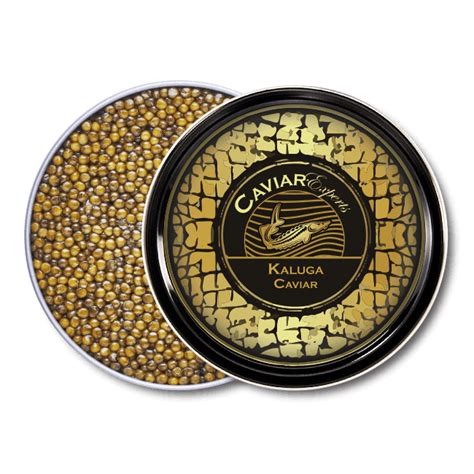 Kaluga | Caviar Experts