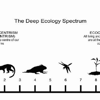 (PDF) Smith, W., & Gough, A. (2015). Deep Ecology as a framework for ...