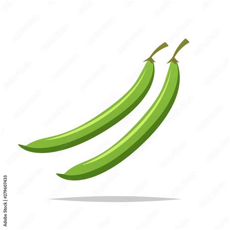 Vetor de Green beans vector isolated illustration do Stock | Adobe Stock