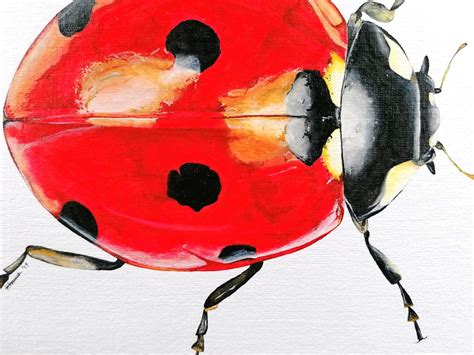 Acrylic Ladybird Painting, Ladybird, Ladybird Painting, Ladybird Artwork, Insect Painting ...