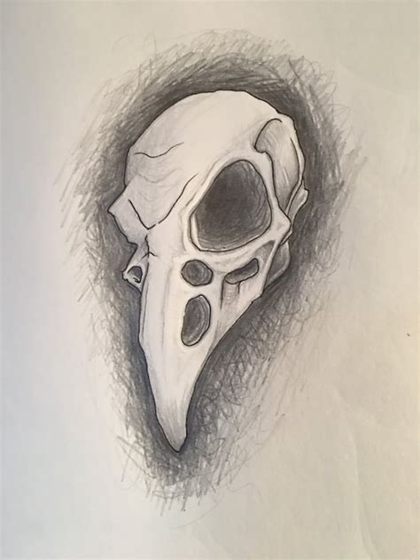 Raven Skull Drawing