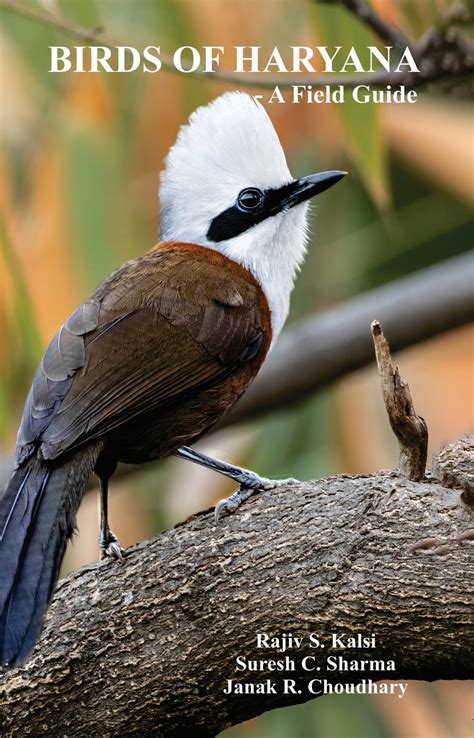 (PDF) Birds of Haryana - A Field Guide