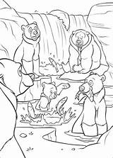 Kids N Funcom  Coloring Page Brother Bear sketch template