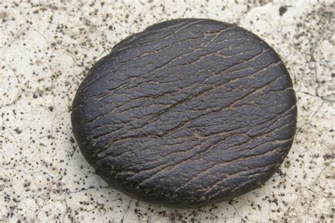 File:Glacier scratched pebble.JPG - Wikimedia Commons