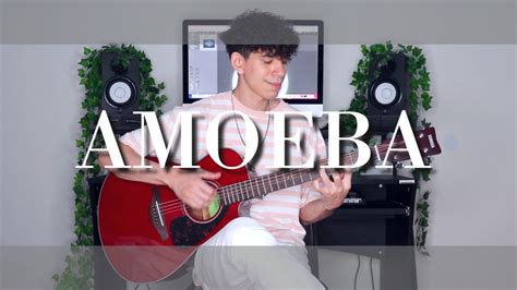 Amoeba - Clairo | Fingerstyle Guitar Cover | TABS - YouTube