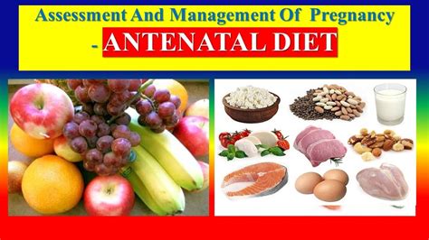 ANTENATAL DIET - OBG - YouTube