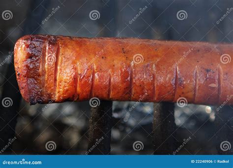 Grilled Polish Sausage stock photo. Image of times, grill - 22240906