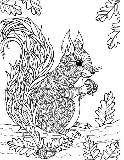 Fall Squirrel Coloring Page Coloring Pages | SexiezPicz Web Porn