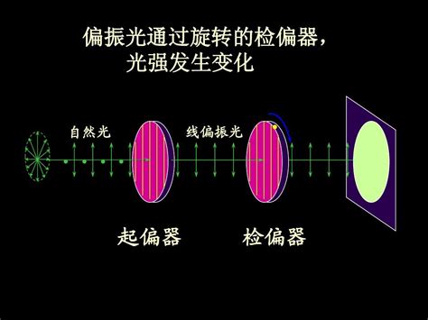 20光的偏振_word文档在线阅读与下载_免费文档