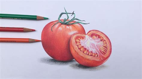 Tomatoes drawing in color pencils | realistic tomato drawing | faber castell polychromos - YouTube