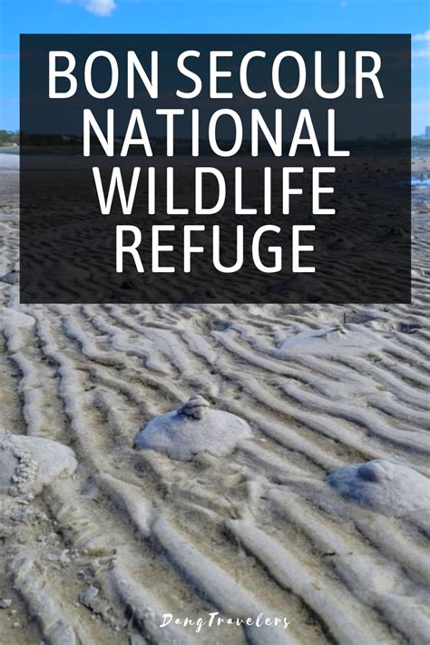 Bon Secour National Wildlife Refuge: All You Need to Know – Dang Travelers