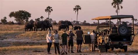 African Adventure Kenya Tour Package Service at Rs 135000/person in Ahmedabad