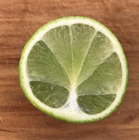 A lime tree, inside my lime. : r/mildlyinteresting