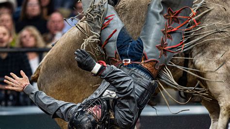 The insanity of professional bull riding comes to Memphis