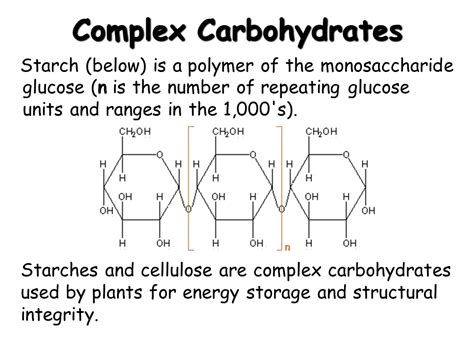 Complex Carbohydrates Diagram