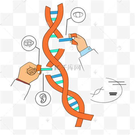 基因密码图片-基因密码图片素材免费下载-千库网