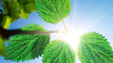 Artificial Leaf Technology - EEWeb