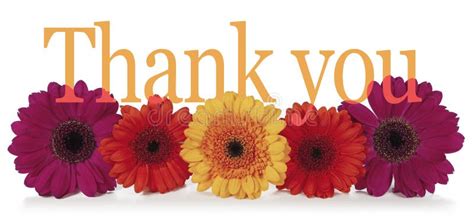 Saying Thank You with Flowers Stock Photo - Image of space, gesture ...