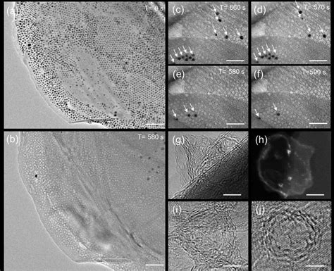 Transmission electron microscopy imaging of the carbon matrices... | Download Scientific Diagram