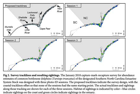 1,000 Pictures of Dolphin Fins – Blinking Robots