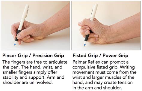 Whole-Brain Living and Learning: Understanding the Palmar (Hand) Reflex - and the “Grasp ...