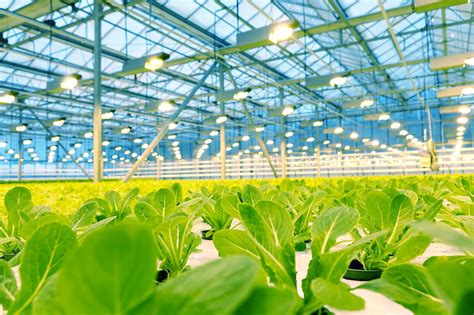 INDOOR FARMING & OTHER INNOVATIVE SOLUTIONS WITH INDUSTRIAL REAL ESTATE | Indoor farming ...