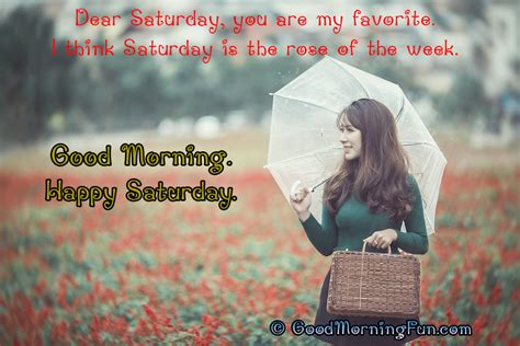 Good Morning Saturday Quotes With HD Images - Good Morning Fun