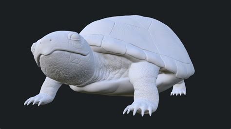 Realistic Turtle Toy 3D model 3D printable | CGTrader