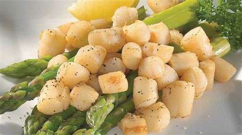 Patagonian Scallops | Shellfish | True North Seafood