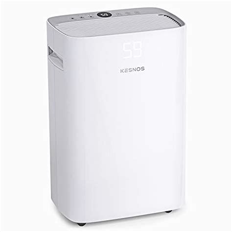 The Best Dehumidifiers for Large Room in 2022